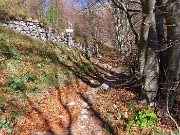 14 Poco sopra prendiamo il sentiero a sx per Passo dell'orso